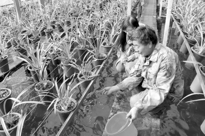 &ldquo;上蘭下魚&rdquo;種養(yǎng)效益高 | 臨安新聞網(wǎng) | 臨安新聞門戶網(wǎng)站 | 浙江臨安 | 浙江省&ldquo;文明辦網(wǎng)&rdquo;示范單位 | 浙江省優(yōu)秀新聞網(wǎng)