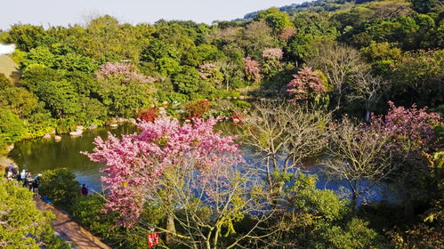 大美中國 壯美廣西1215丨晨沐桂北景色美