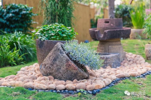 要火 1萬㎡花海隧道 超精致園林景色,佛山這里美到離譜