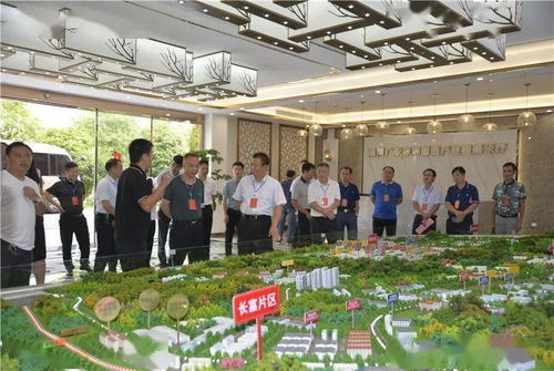 桂陽縣人大常委會組織在桂省 市 縣人大代表開展集中視察活動