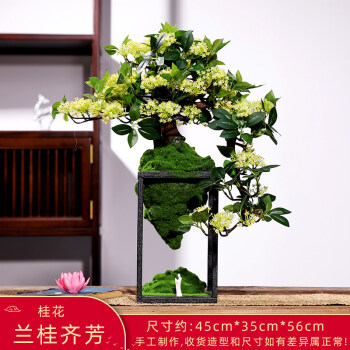 清杏黃江綢彩繡蘭桂齊芬女夾袍