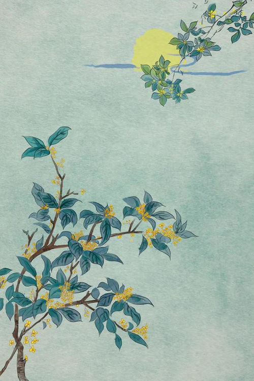 何須淺碧深紅色,自是花中第一流 10首桂花詩詞