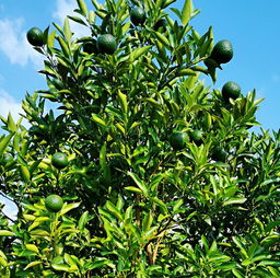 這 是 一 篇 自 帶 香 氣 的 推 文