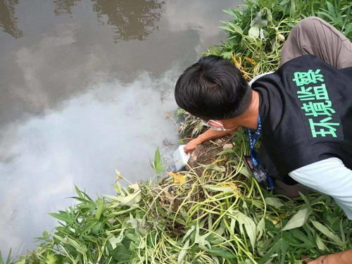 向河涌偷排污水,桂城取締五家無證印花廠并立案調查