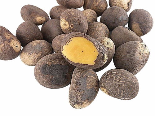 科普各種菩提子的名稱和相貌,超多大圖,別再認(rèn)錯(cuò)了