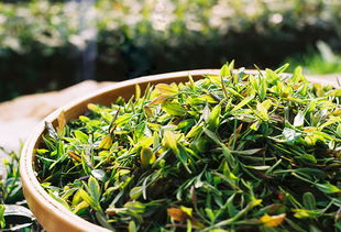 月 桂 寂境中秋茶禮