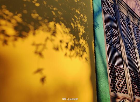 沐雨問琴的相冊(cè) 秋瞑溪山枕桂禪