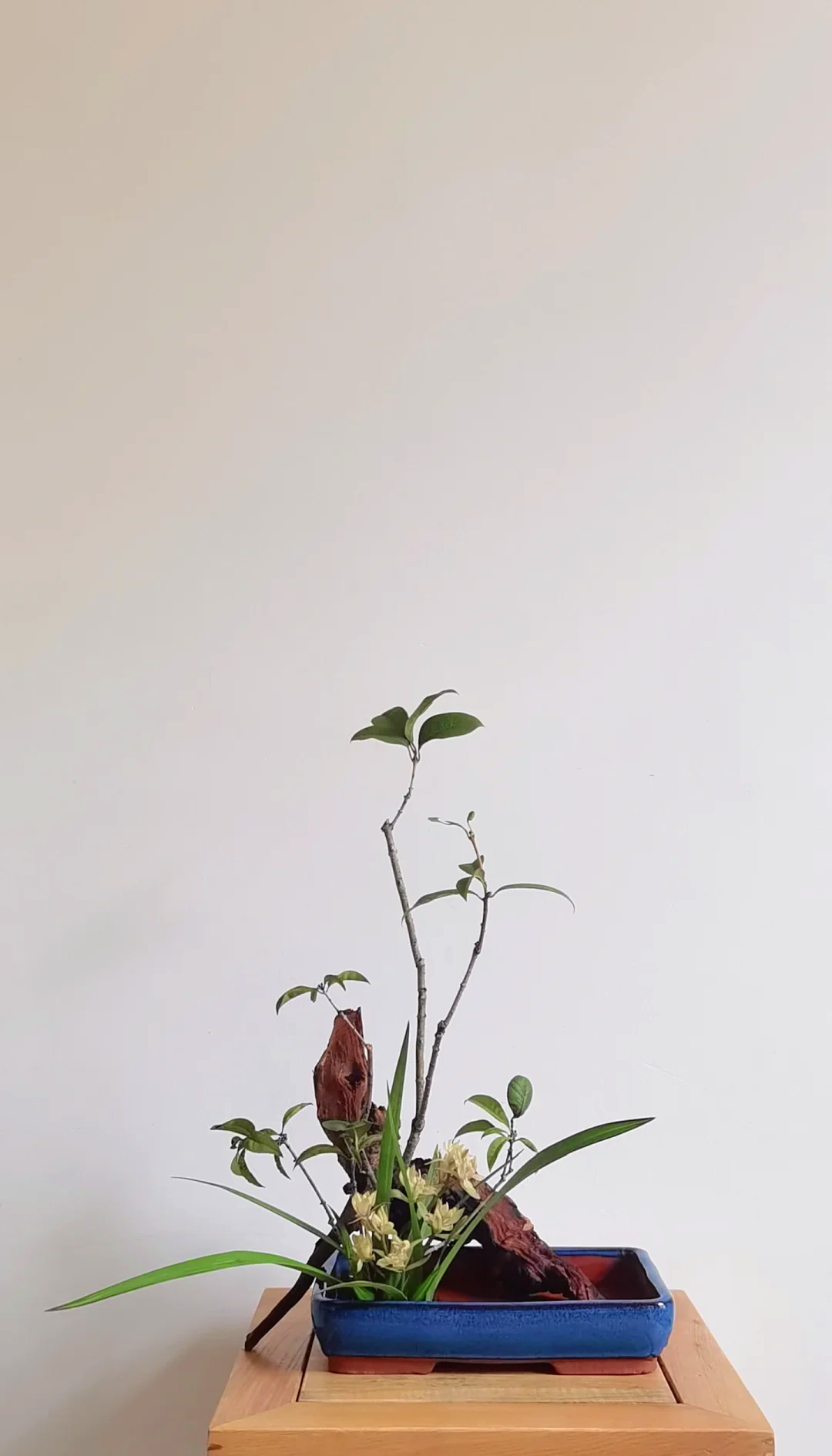 蘭桂齊芳 中式插花的優雅寓意