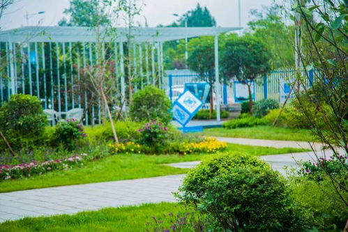 醉美工地，不得不服沐風蘭桂