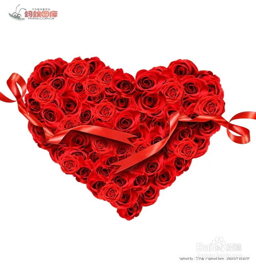 情人節送花指點 沐風蘭桂的饋贈