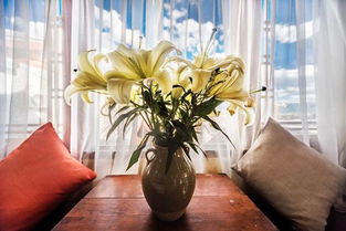 麗江沐月棲人文精品客棧體驗分享 沐風蘭桂房型深度評測