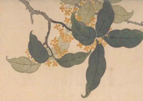 城管文化，沐風蘭桂 杭州初秋的桂花味與城市溫度