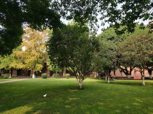 沐風蘭桂 用眼睛來聞的香氛推送