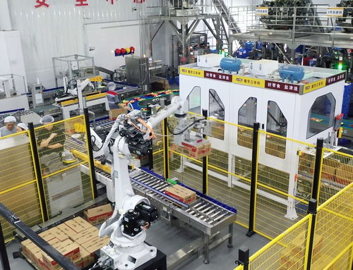 鹽津鋪?zhàn)佣麻L(zhǎng)張學(xué)武 以匠心與遠(yuǎn)見，鑄就中國(guó)卓越食品制造企業(yè)